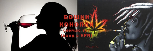молекула духа Зеленодольск
